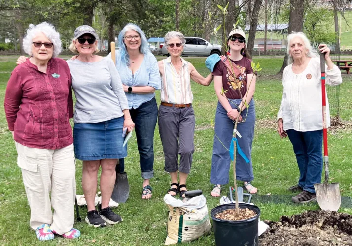 Tree City Status Celebrated